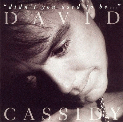 David Cassidy : Didn't You Used to Be...
